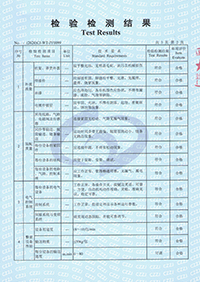 Inspection and Test Report-3